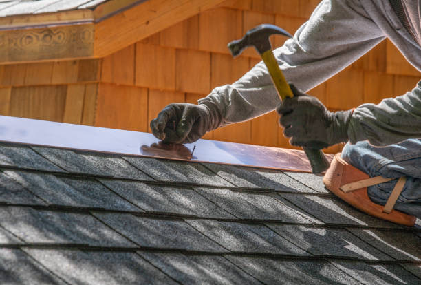Best Storm Damage Roof Repair  in Ladd, IL