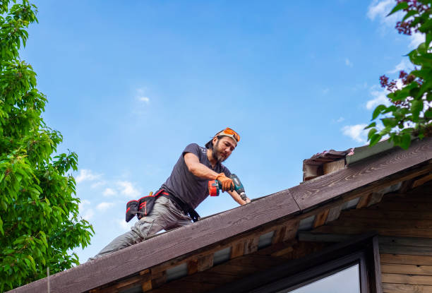 Ladd, IL  Roofing repair and installation Company