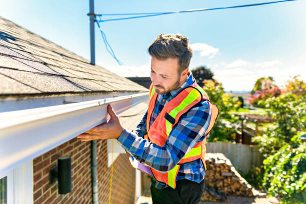 Best Rubber Roofing (EPDM, TPO)  in Ladd, IL